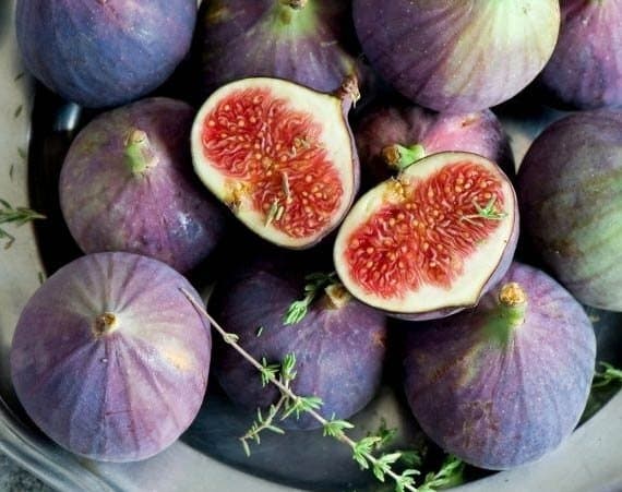 Інжир Київський Великоплідний - зображення 1