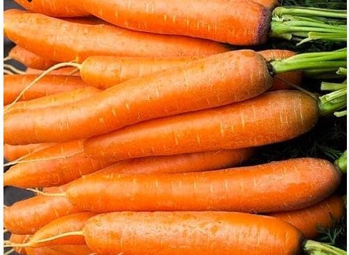 Морква Шантане королівська 15г - зображення 1