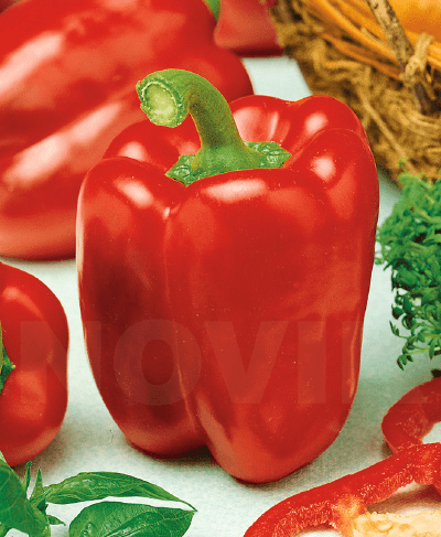 Перець Каліфорнійське Диво 0.3 г - зображення 1